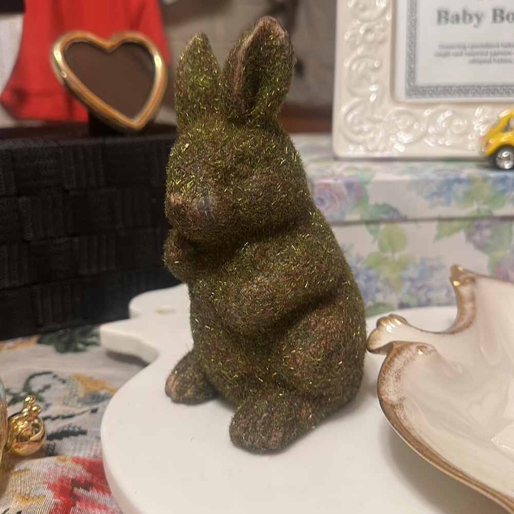 Miss Covered Bunny Rabbit